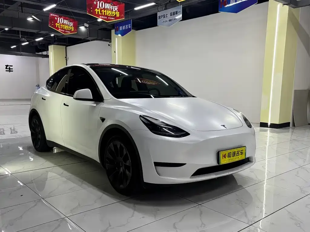 Tesla Model Y — фото 10