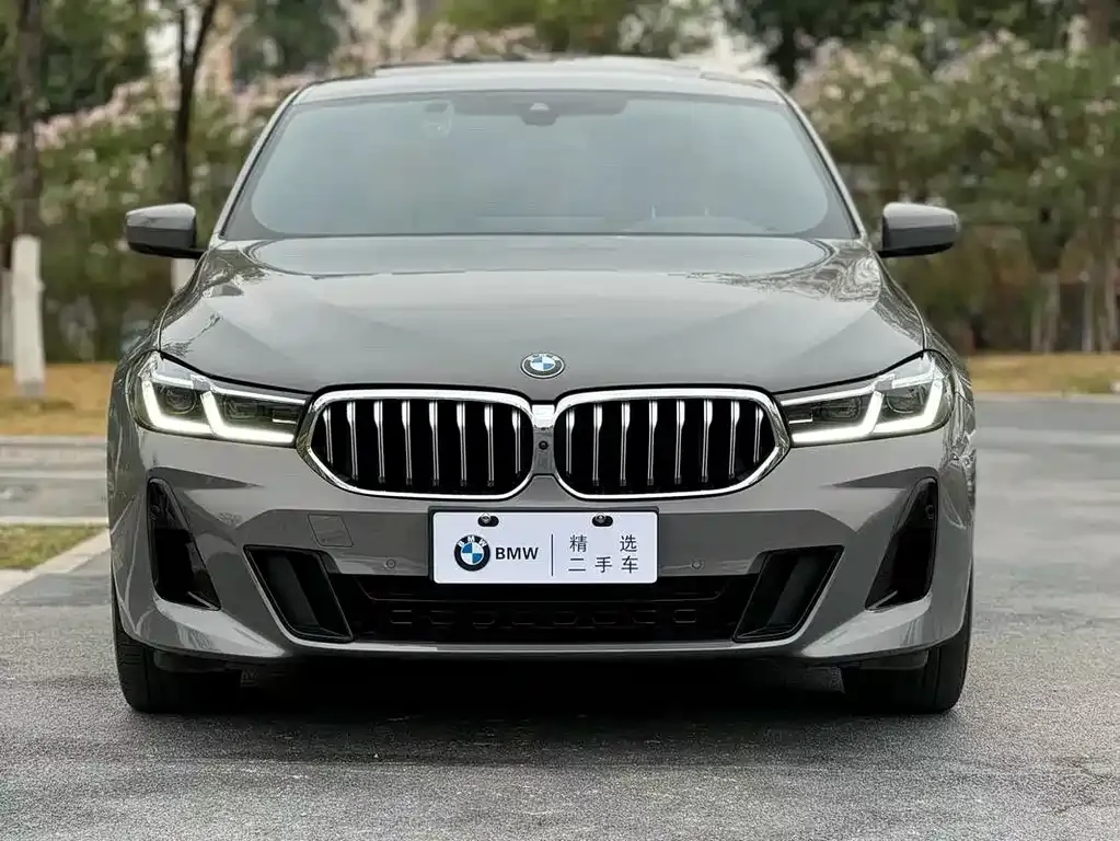 BMW 6 Series GT 2021 из CN, фото 5