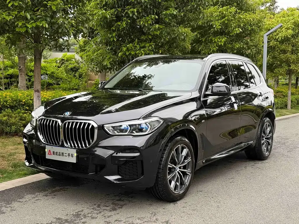 BMW X5 (Import) — фото 1