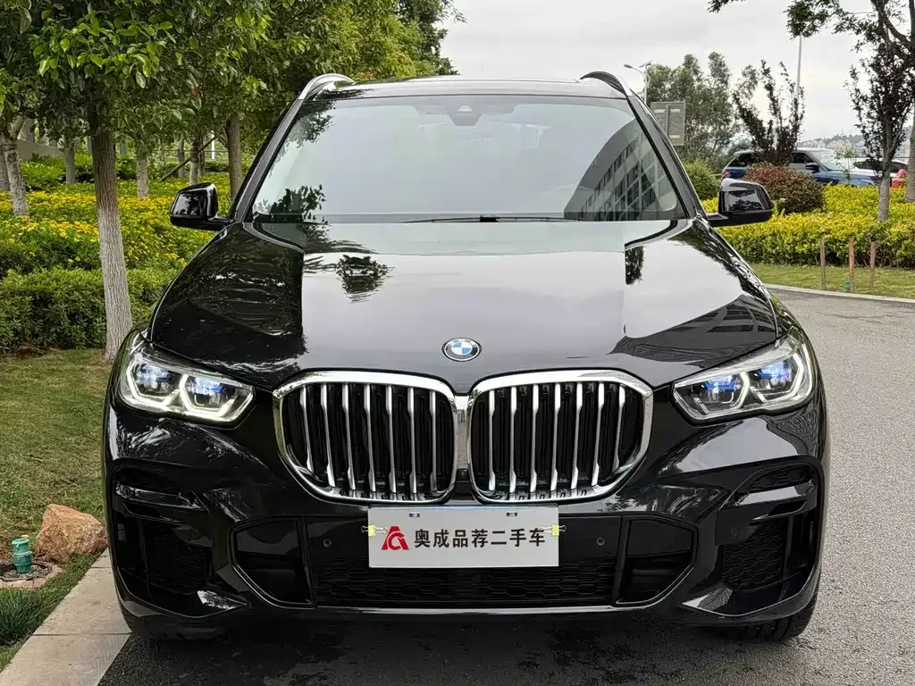 BMW X5 (Import) — фото 8