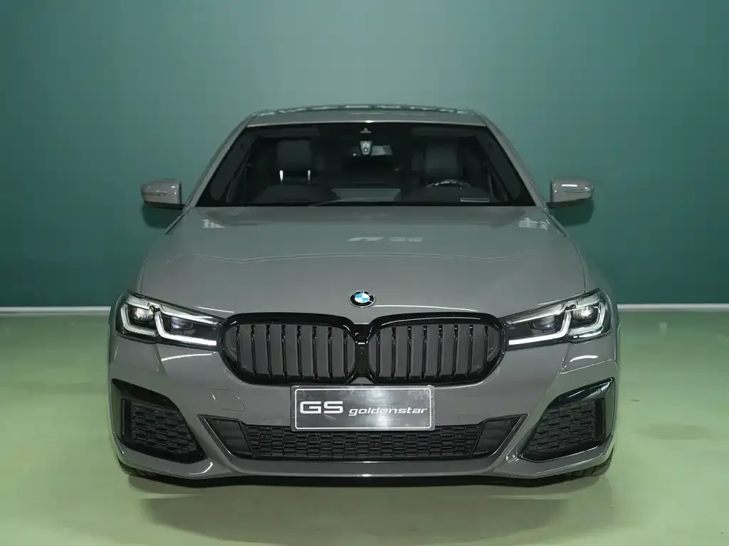 BMW 5 Series (Import) 2022 из CN, фото 7