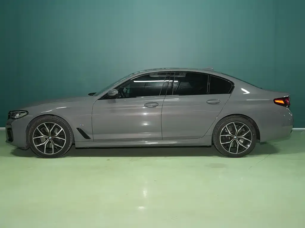 BMW 5 Series (Import) 2022 из CN, фото 5