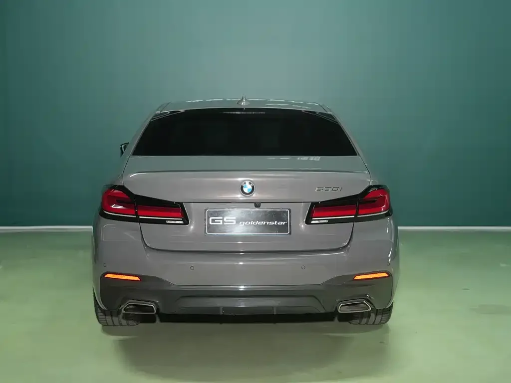BMW 5 Series (Import) 2022 из CN, фото 3