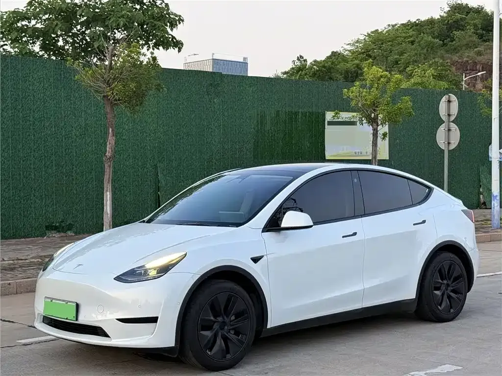 Tesla Model Y — фото 1