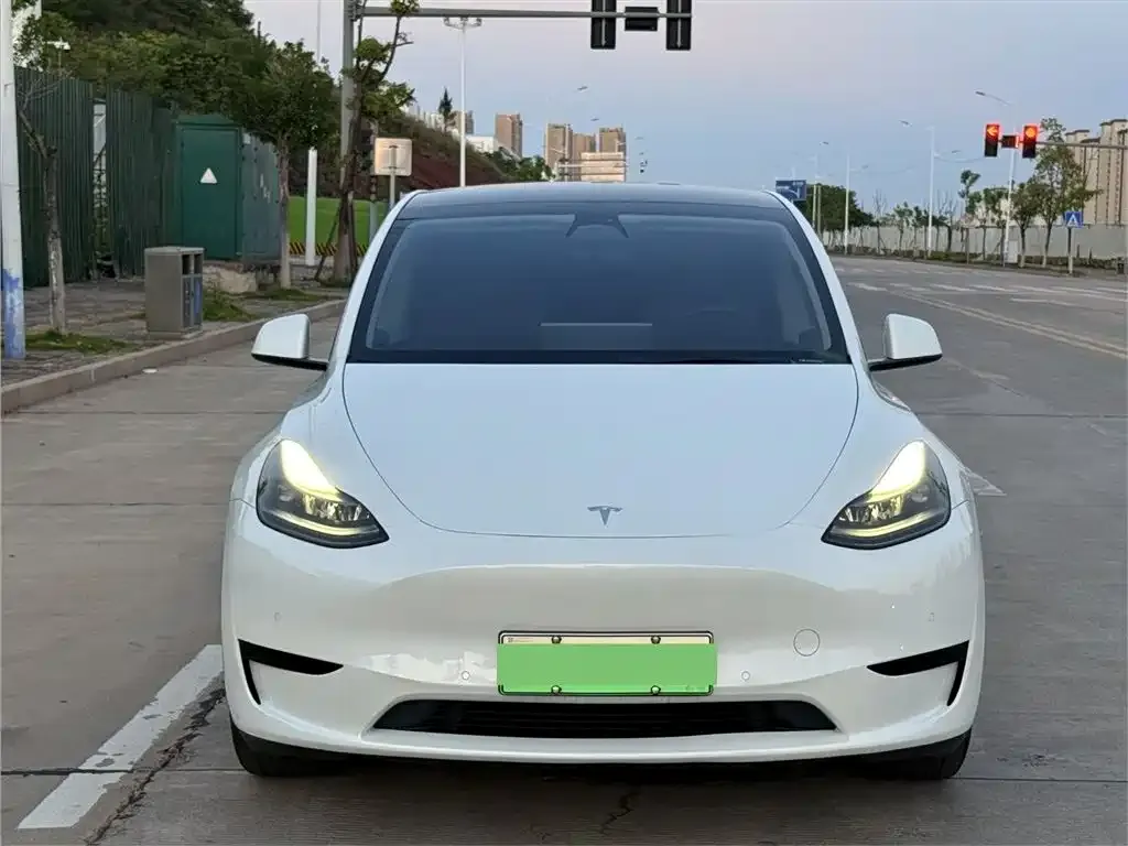 Tesla Model Y — фото 8