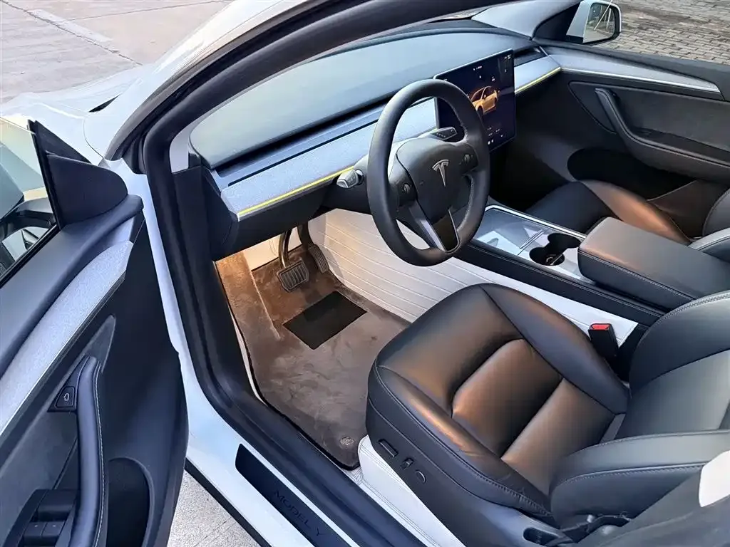 Tesla Model Y — фото 6