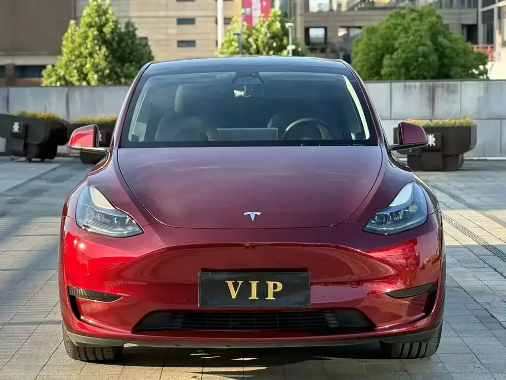 Tesla Model Y — фото 9