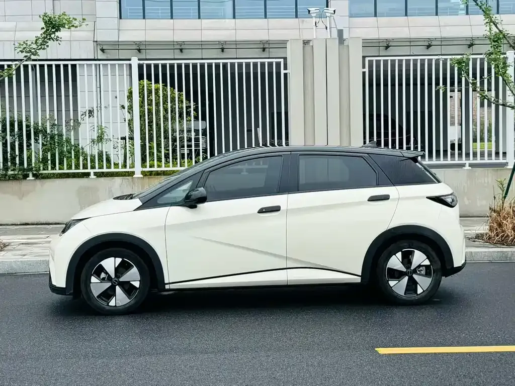 BYD Dolphin 2023 из CN, фото 5