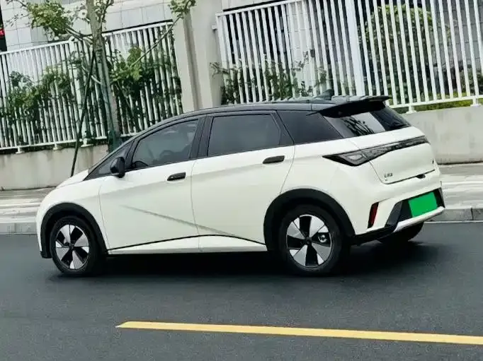 BYD Dolphin 2023 из CN, фото 4