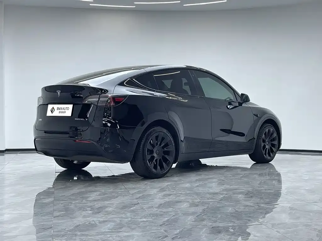 Tesla Model Y — фото 5