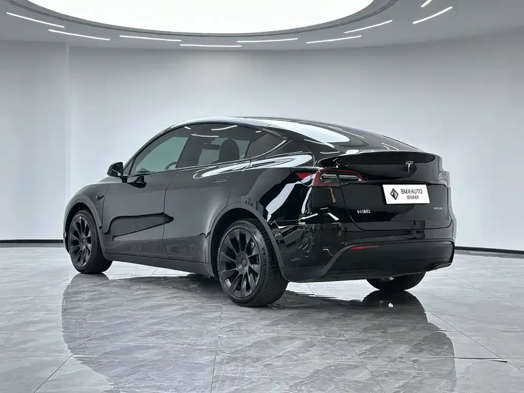 Tesla Model Y — фото 9