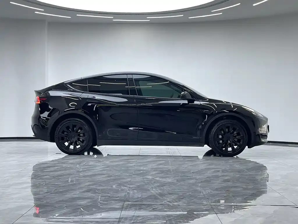 Tesla Model Y — фото 10