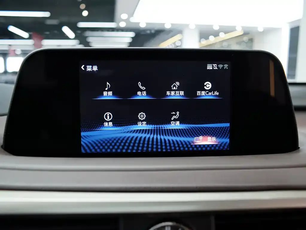Lexus RX 2021 из CN, фото 8