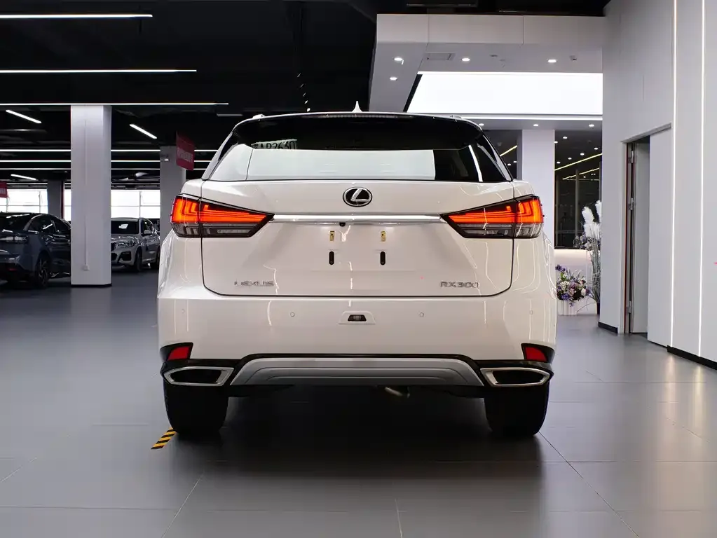 Lexus RX 2021 из CN, фото 4