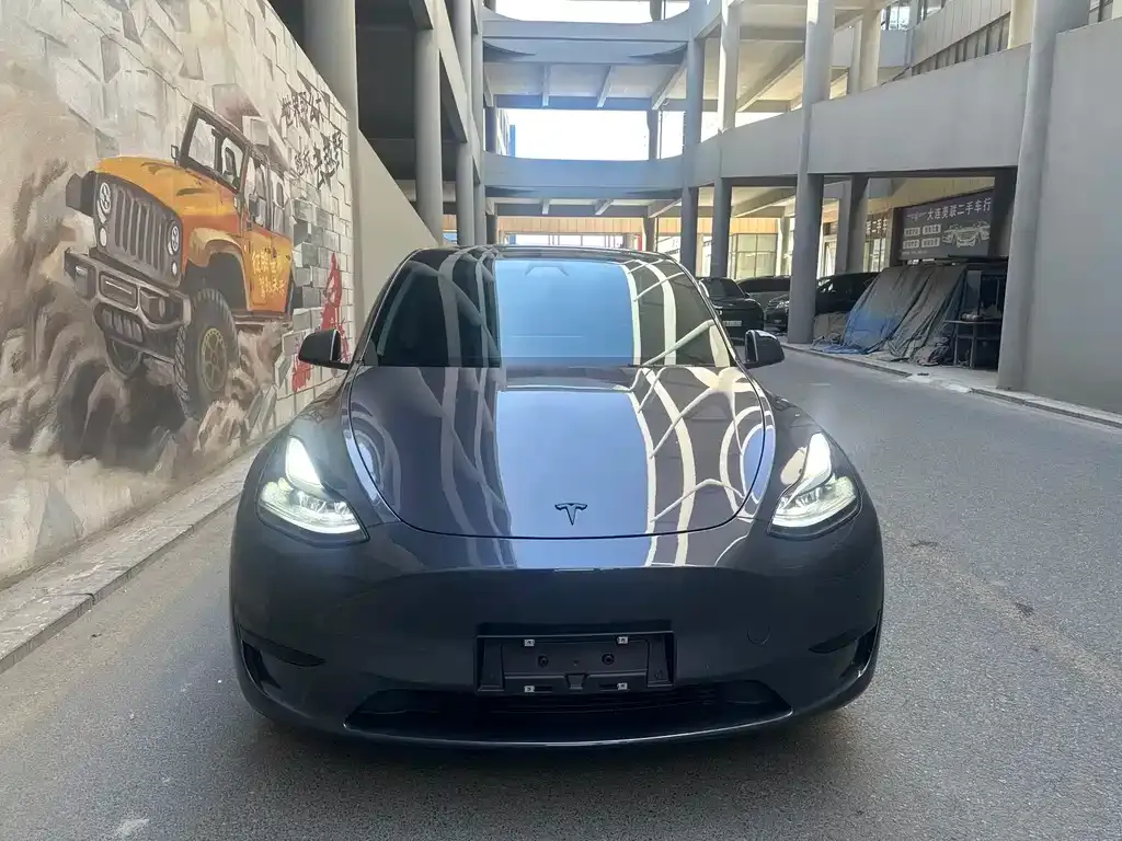 Tesla Model Y — фото 9