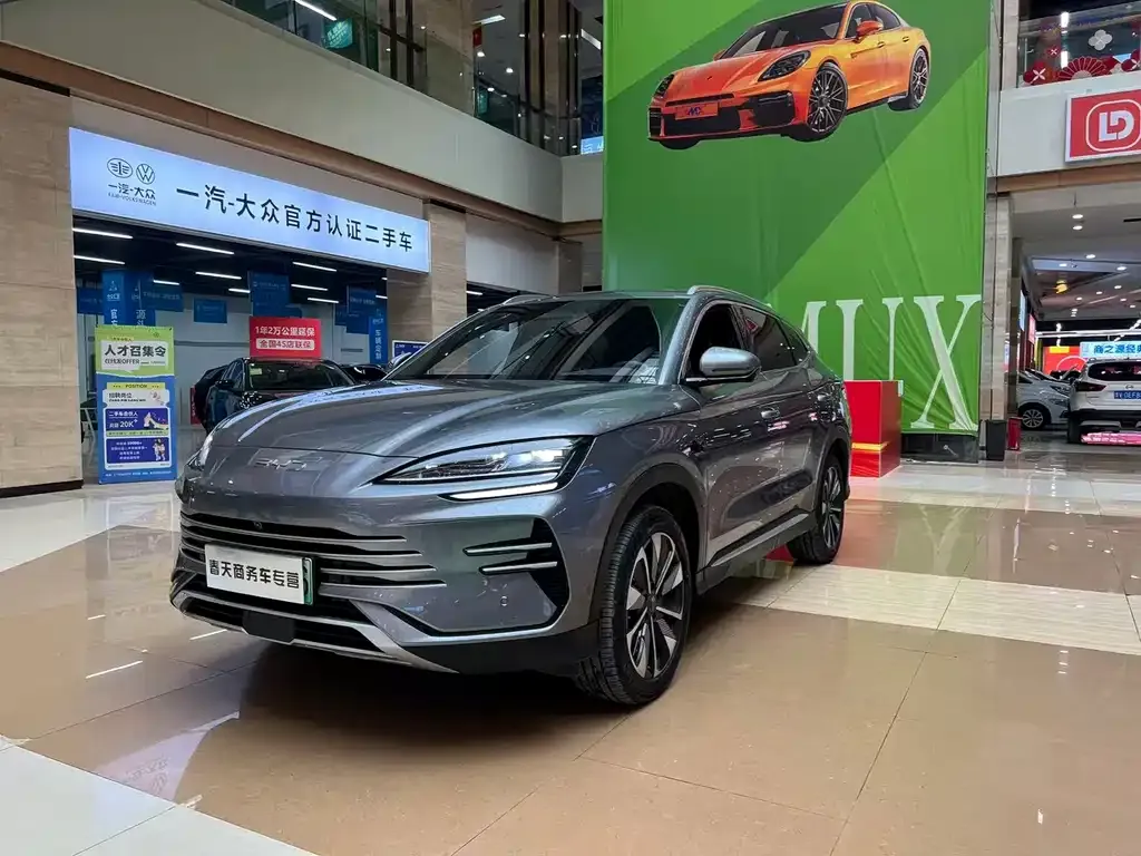 BYD PLUS New Energy — фото 1