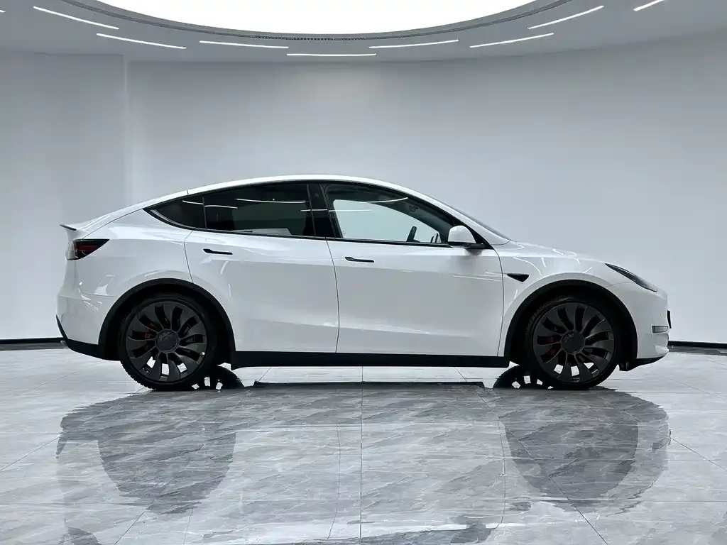 Tesla Model Y — фото 10