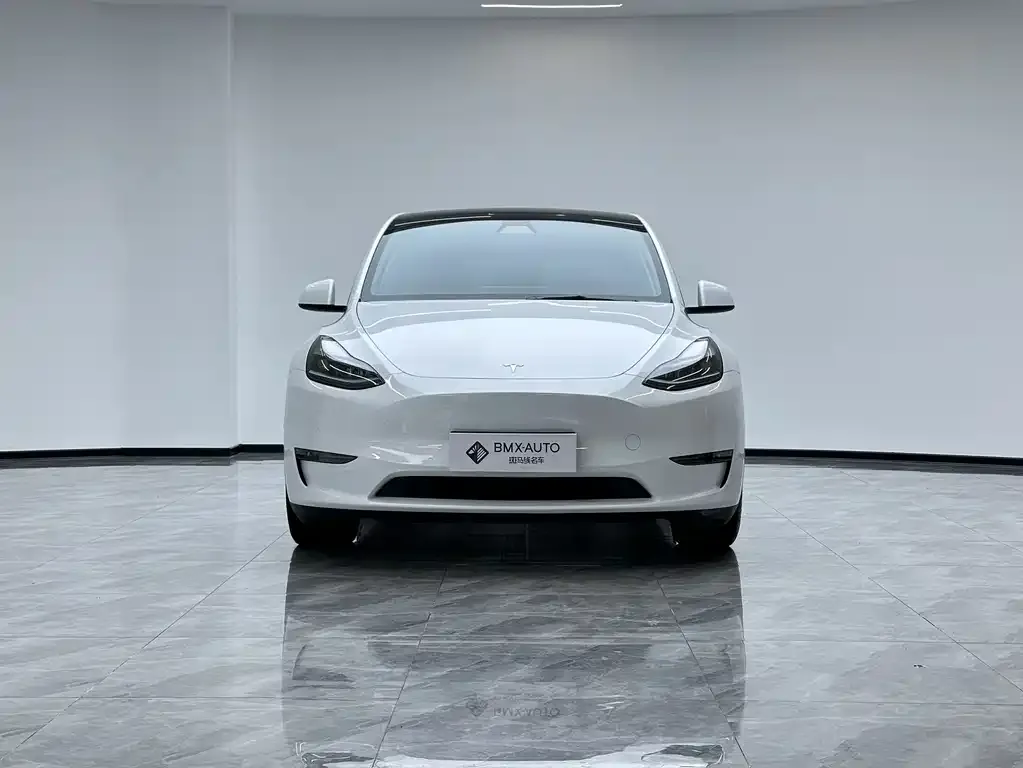 Tesla Model Y — фото 5