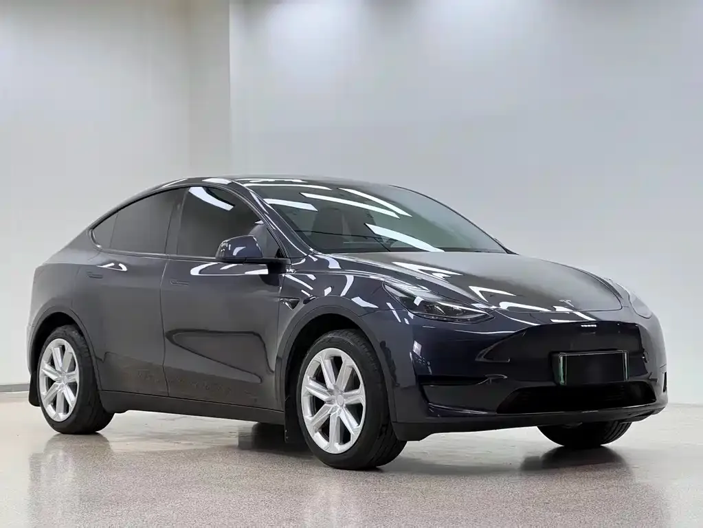 Tesla Model Y — фото 10