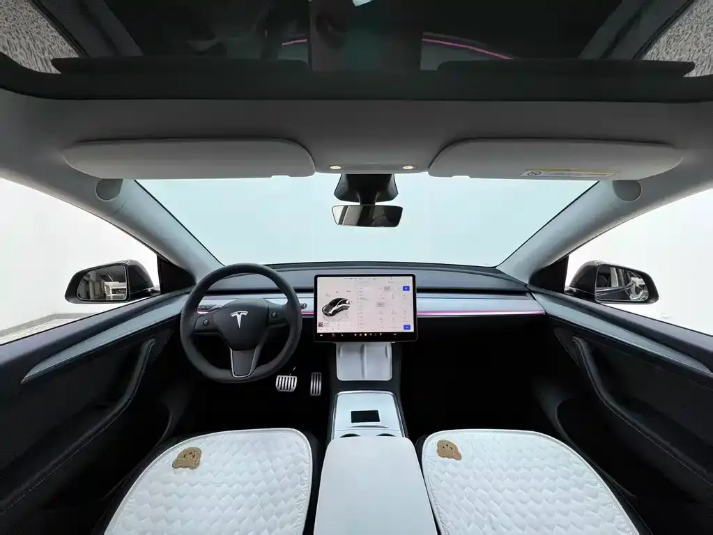 Tesla Model Y — фото 3