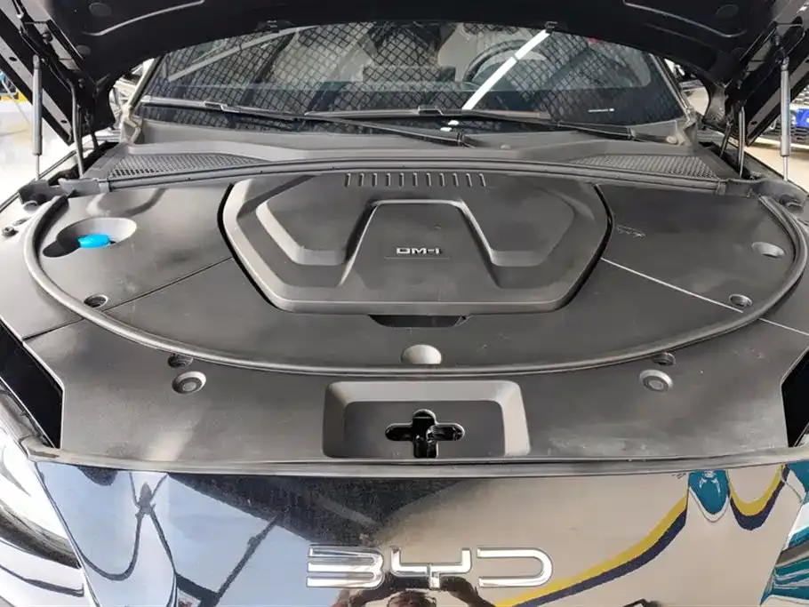 BYD PLUS New Energy — фото 10