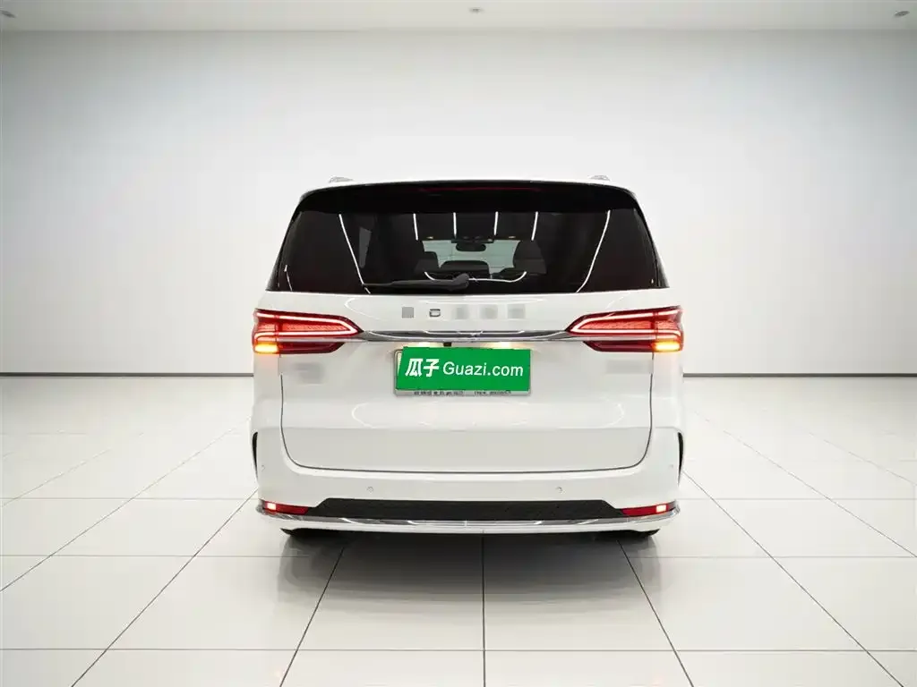Roewe iMAX8 New Energy 2025 из CN, фото 3