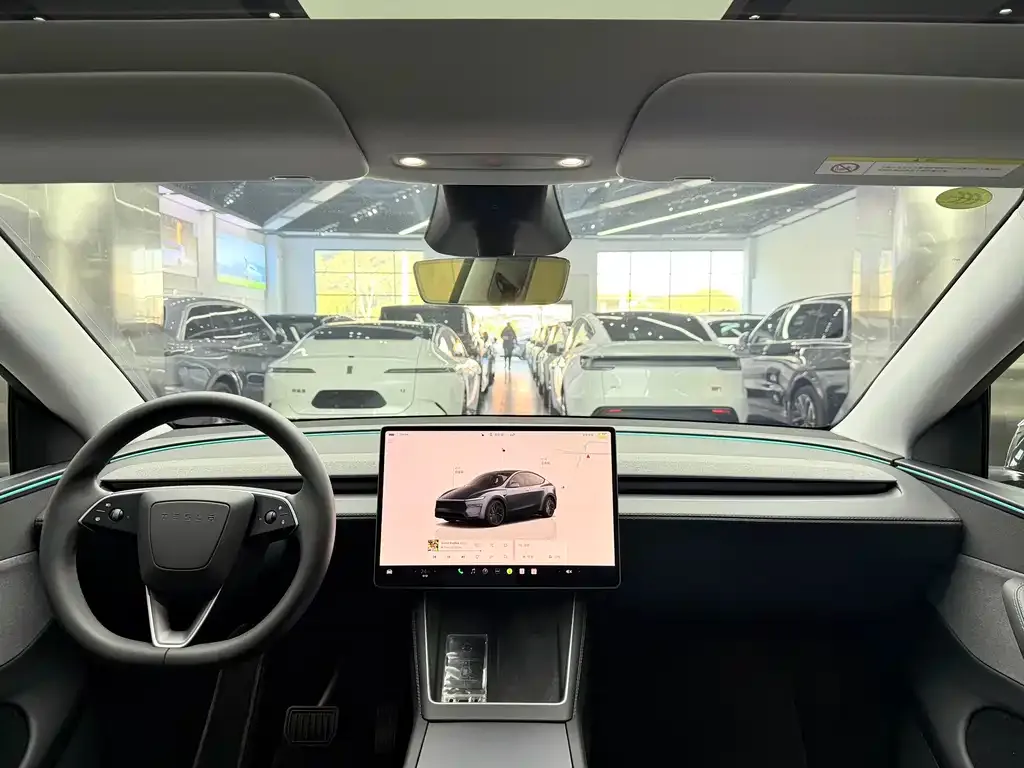 Tesla Model Y — фото 10