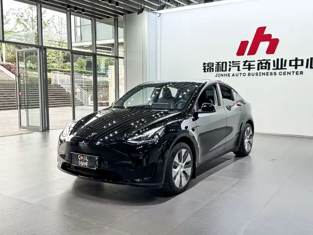 Tesla Model Y — фото 1