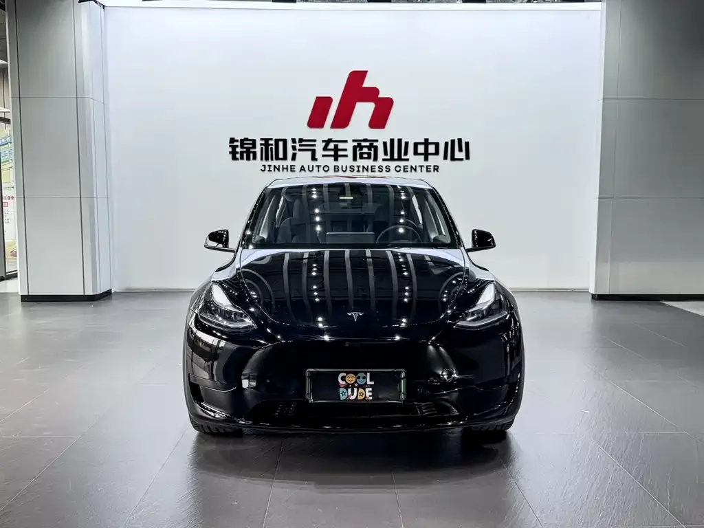Tesla Model Y — фото 2