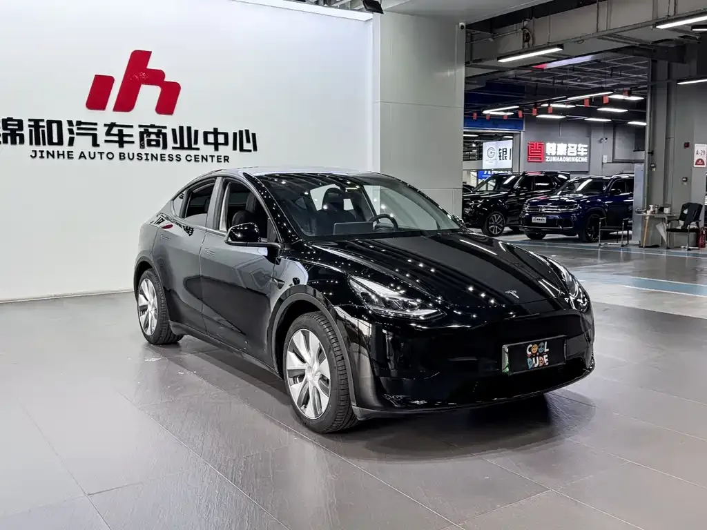Tesla Model Y — фото 6