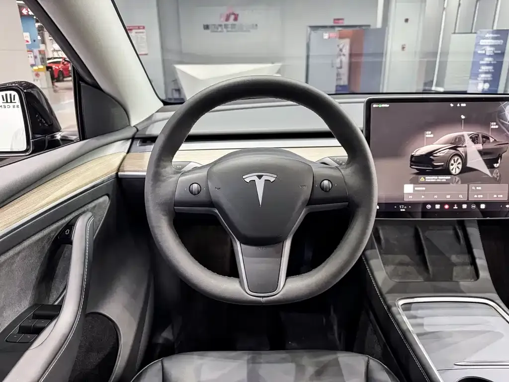 Tesla Model Y — фото 10