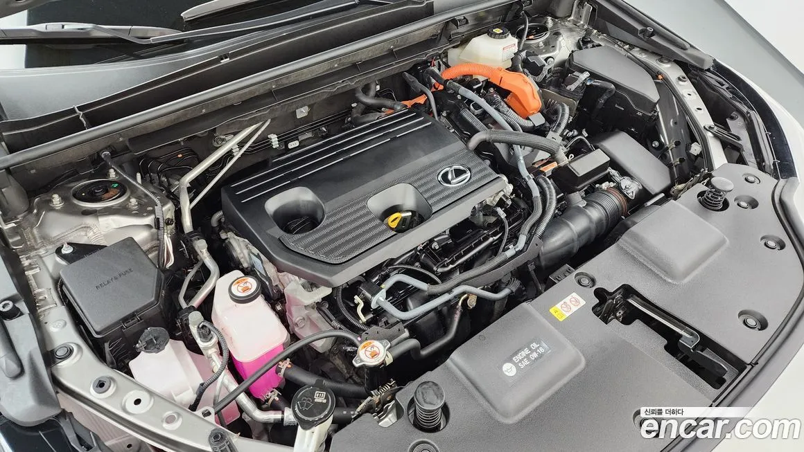 Lexus NX 2023 из KR, фото 10