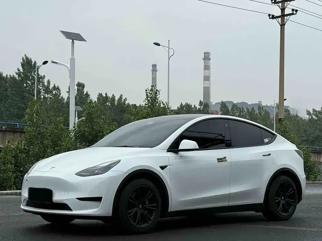 Tesla Model Y — фото 1