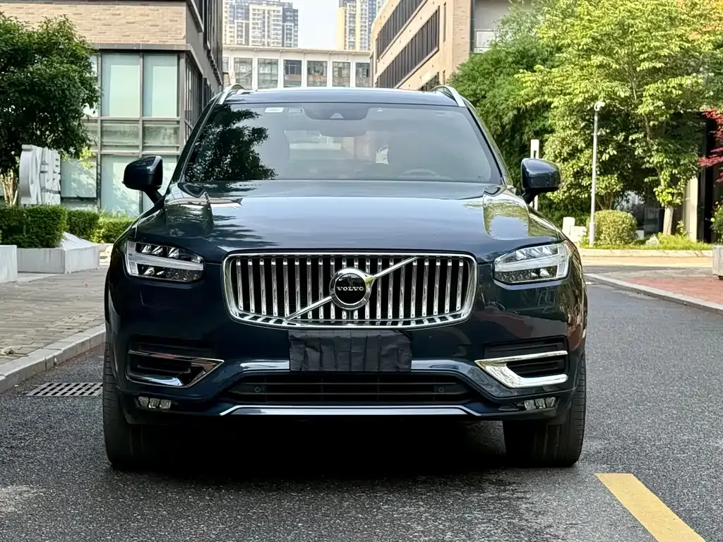 Volvo XC90 — фото 10