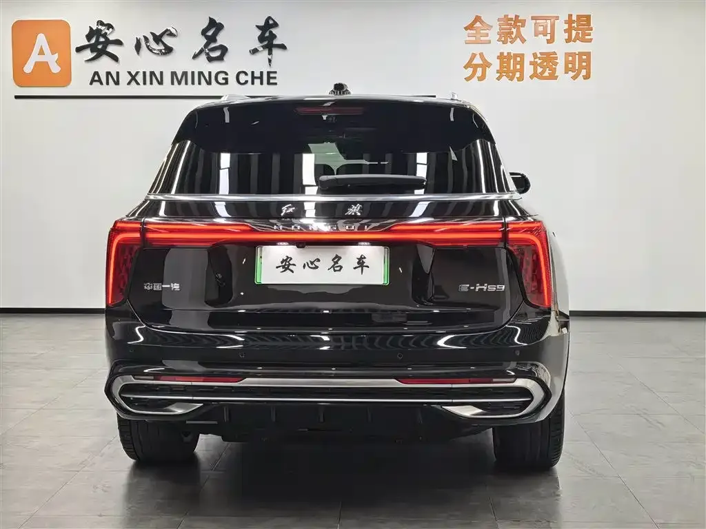 Hongqi E-HS9 — фото 3