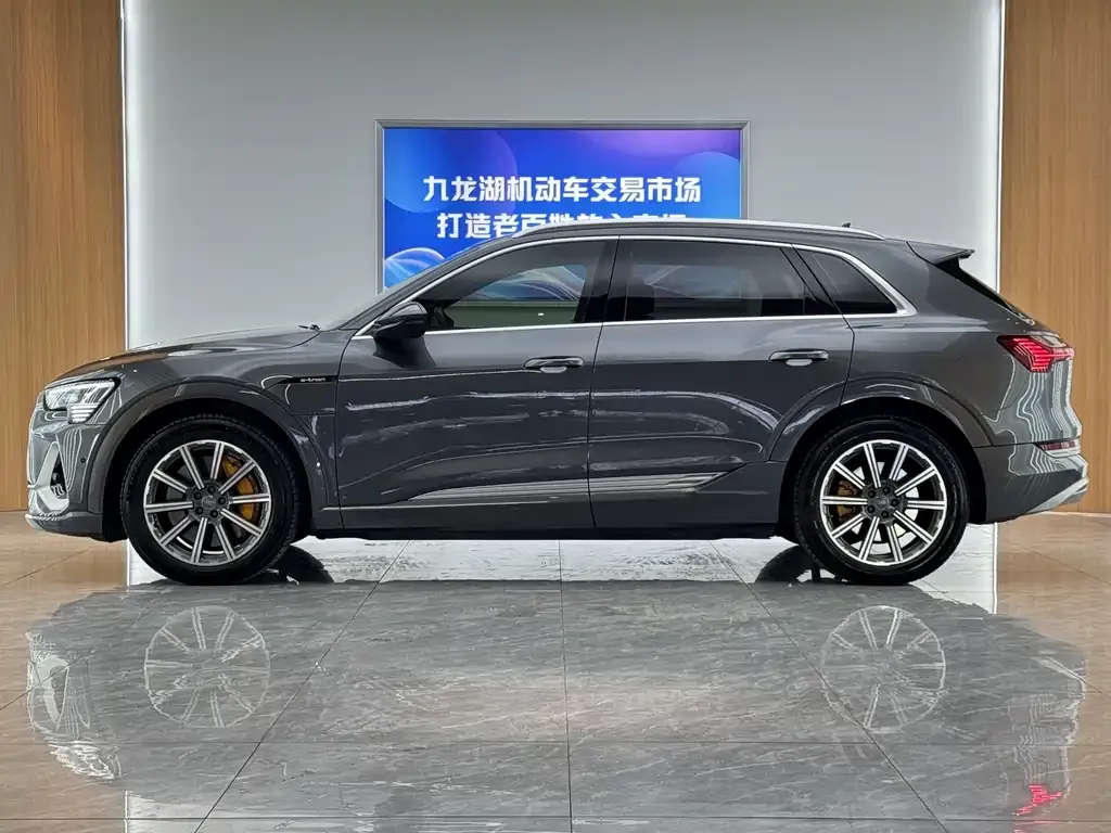 Audi e-tron 2021 из CN, фото 10