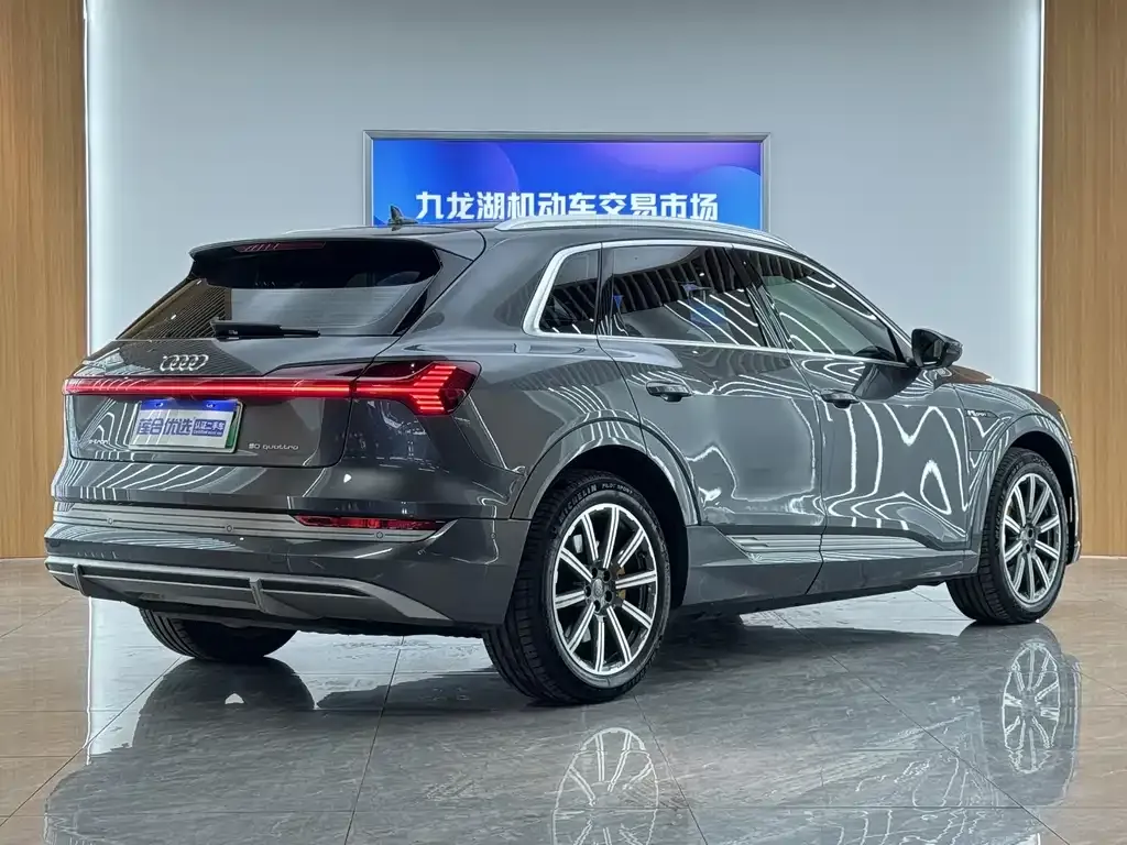 Audi e-tron 2021 из CN, фото 9