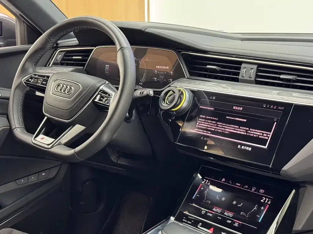 Audi e-tron 2021 из CN, фото 5