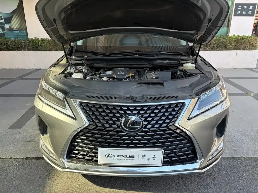 Lexus RX — фото 10