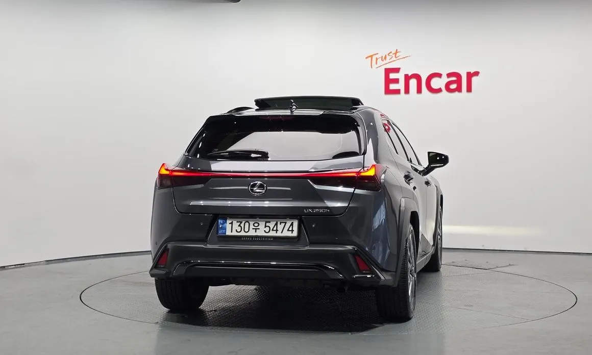 Lexus UX 2024 из KR, фото 5