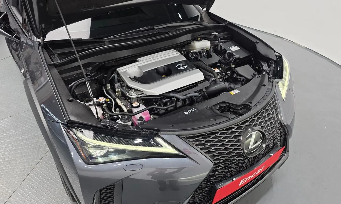 Lexus UX 2024 из KR, фото 10