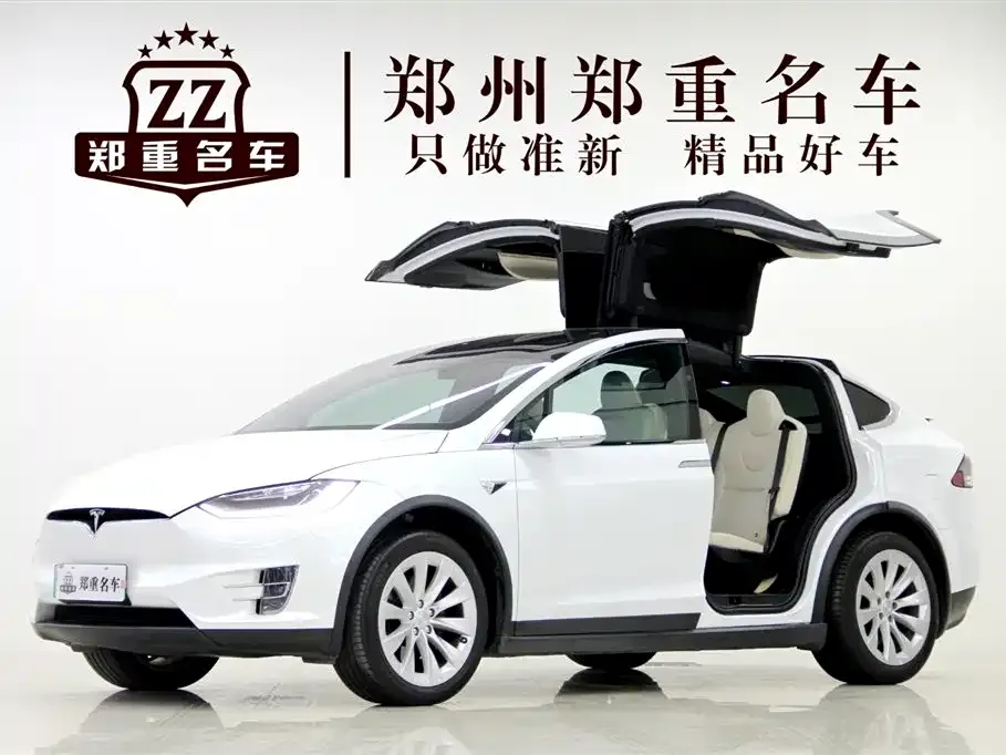 Tesla Model X 2021 из CN, фото 9