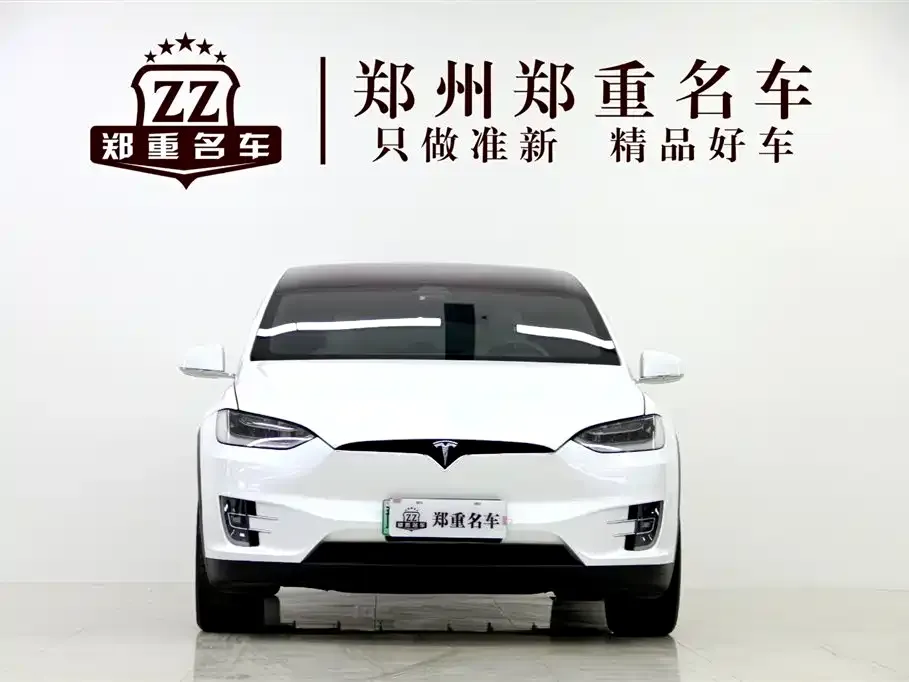 Tesla Model X 2021 из CN, фото 3