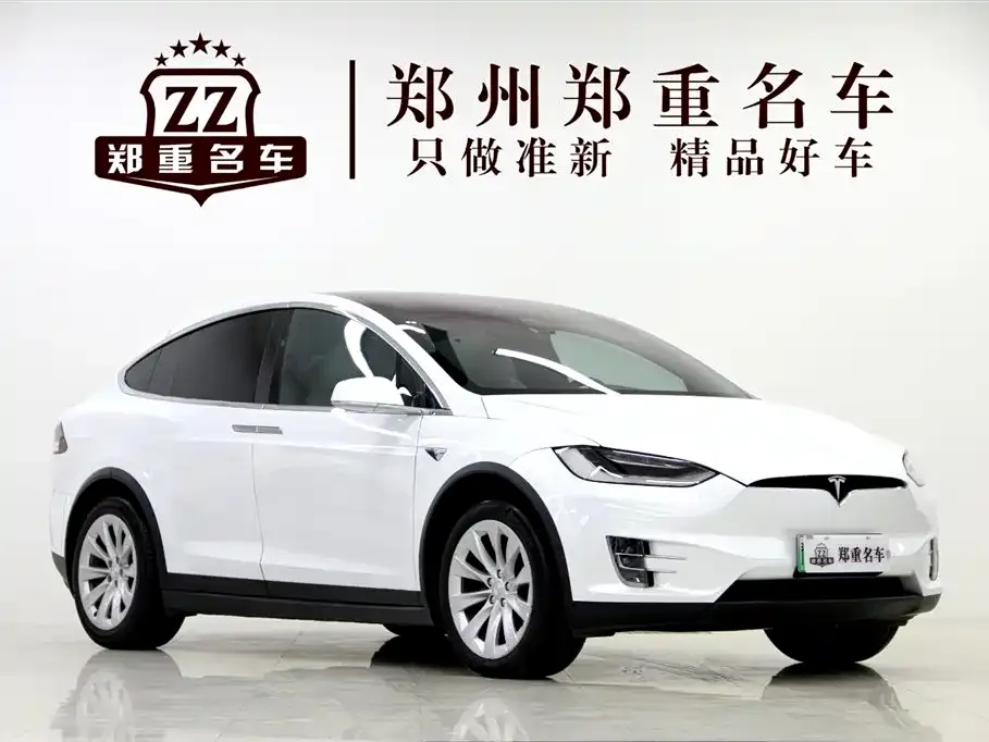 Tesla Model X 2021 из CN, фото 5
