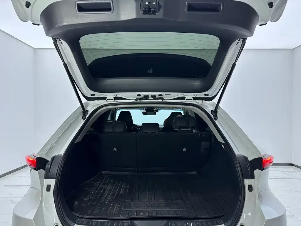 Toyota Venza 2024 из CN, фото 3