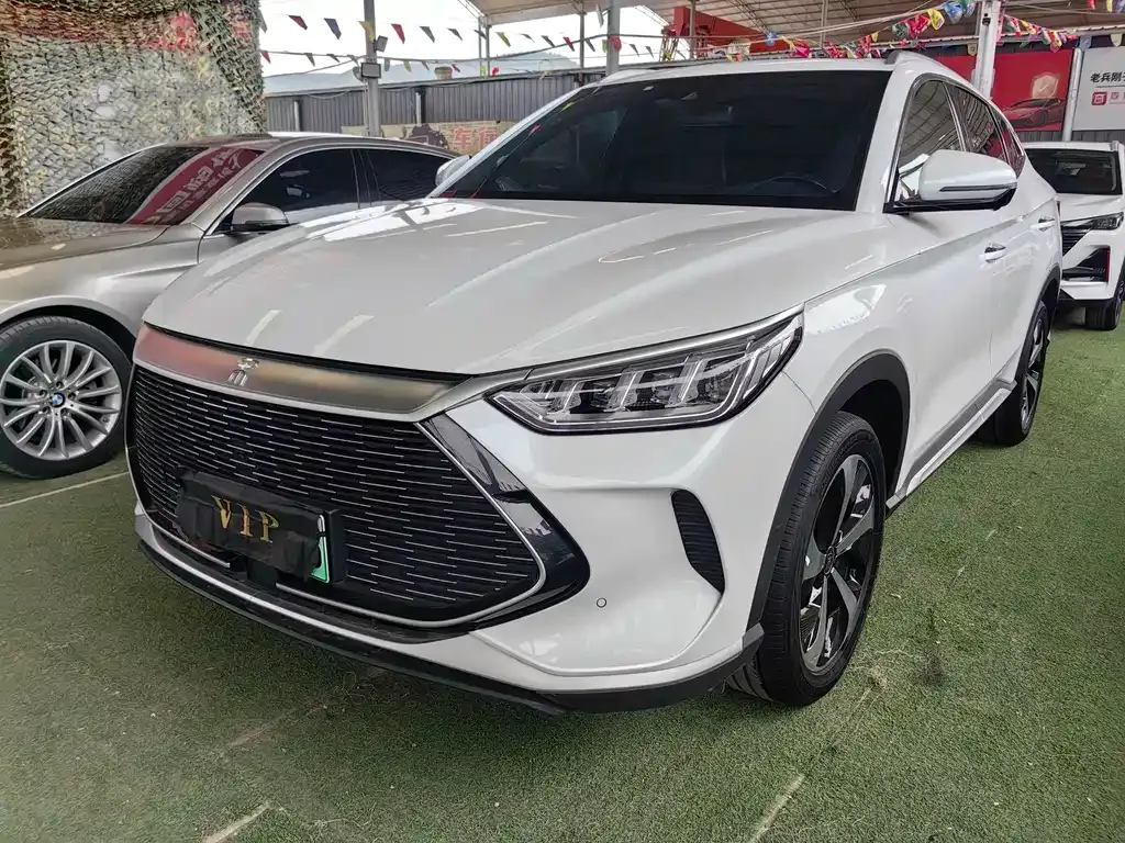 BYD PLUS New Energy — фото 1