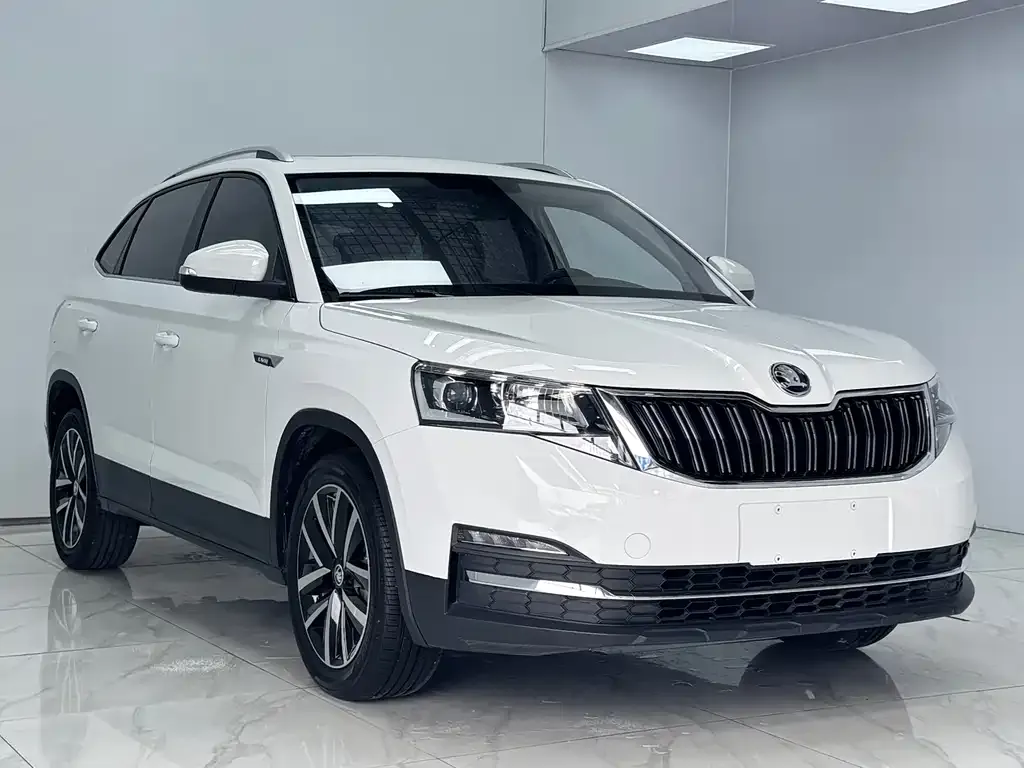 Skoda Kamiq — фото 8