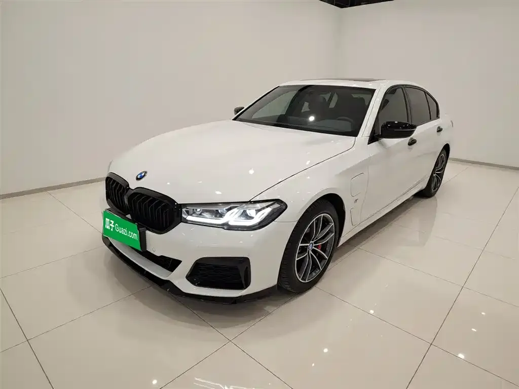 BMW 5 Series New Energy 2021 из CN, фото 9