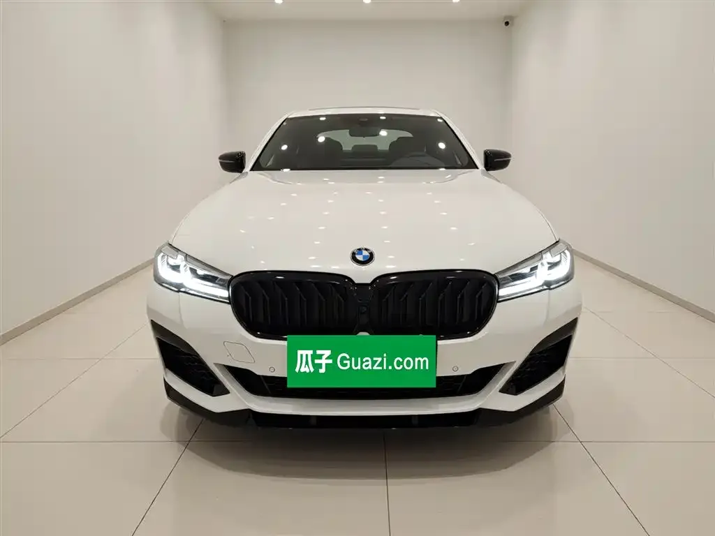 BMW 5 Series New Energy 2021 из CN, фото 4