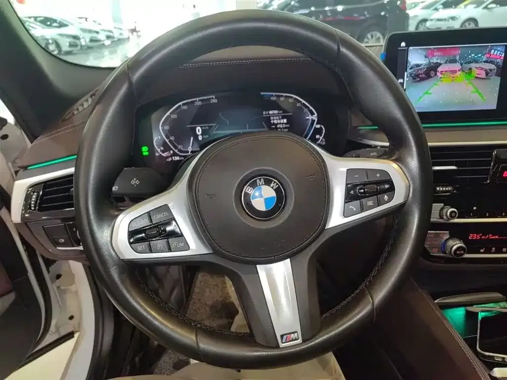 BMW 5 Series New Energy 2021 из CN, фото 6